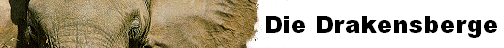 Die Drakensberge