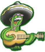 Cactus