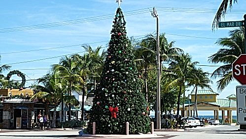 Weihnachtsbaum und Palmen in Fort Lauderdale