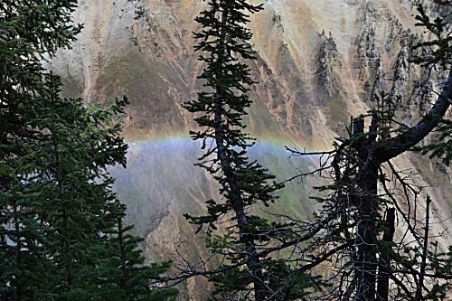 Regenbogen über dem Grand Canyon of Yellowstone