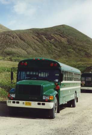 Einer der Busse, die im Denali Nationalpark verkehren
