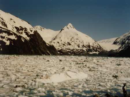 Der Portgage Gletscher