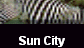 Sun City