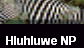 Hluhluwe NP