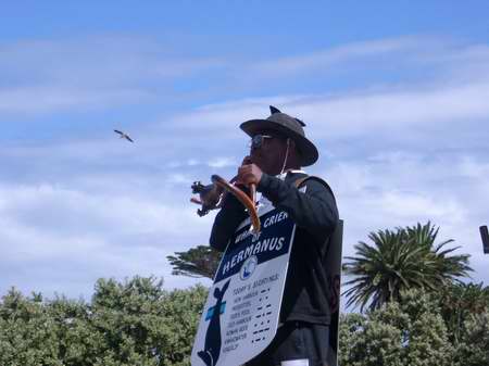 Der Whale Cryer in Hermanus