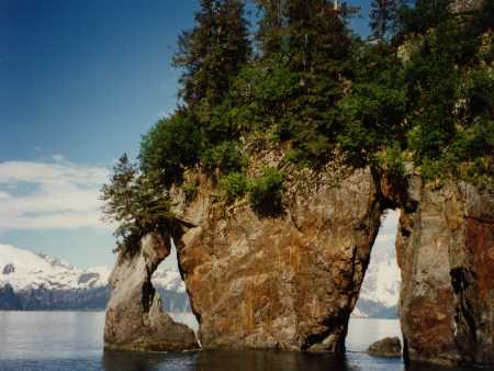Kenai Fjord Tour Kenai Fjord Tour