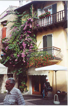 Blumenpracht in Torri am Gardasee