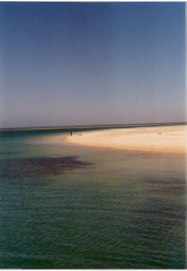 Strand bei Monkey Mia