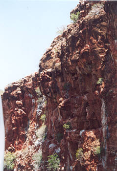 Yardie Creek