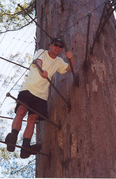 Der Bicentennial Tree
